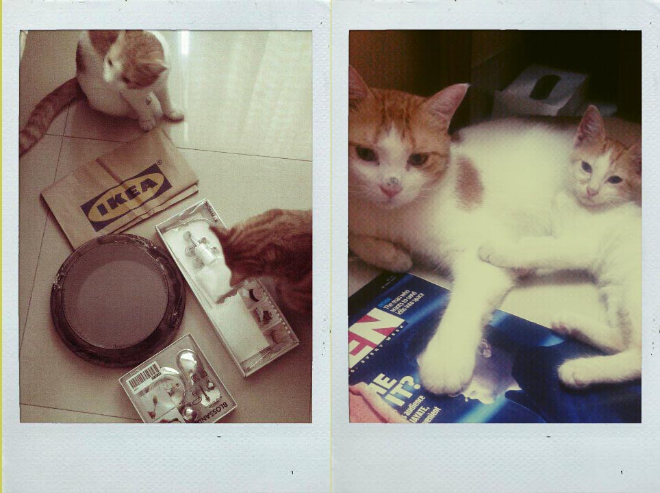 In the company of the great and noble…