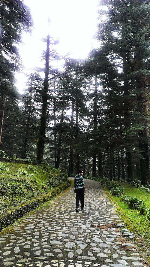 A dot in the world, the universe