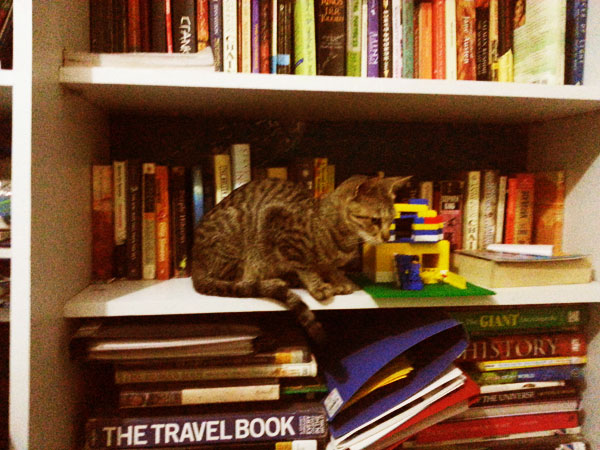 A place for books @Kranti