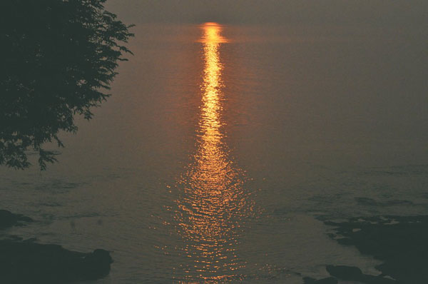 The Goa Project 2014