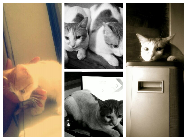 This is Goodbye, Arthur