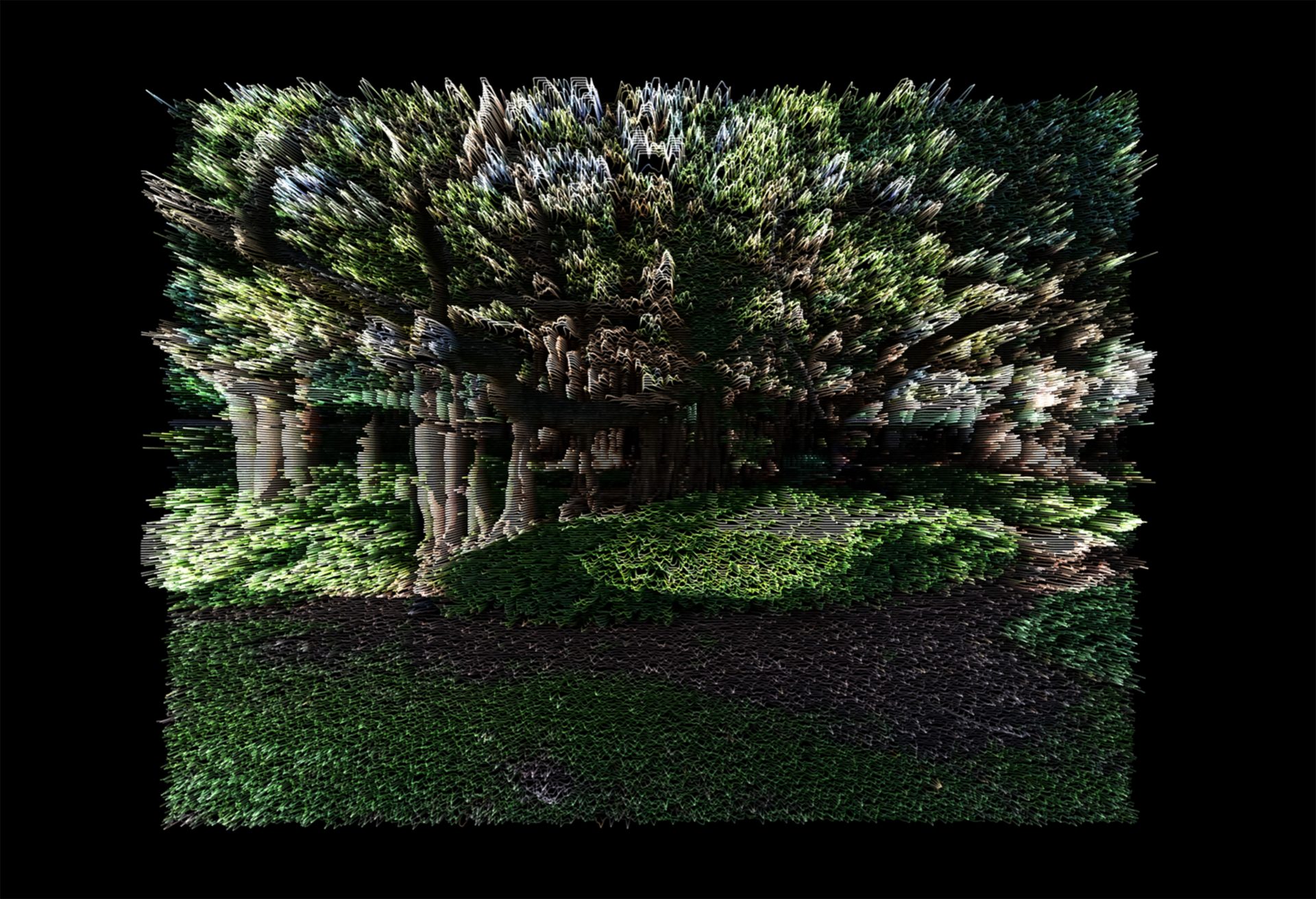 F.E.A.S.T 2020: a more than human world