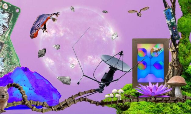 MAB20 Workshop: DIY & More-than-Human Media Architecture